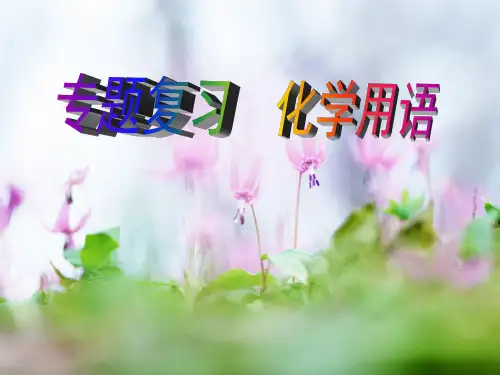 中考化学专题复习：化学用语(共25张PPT)