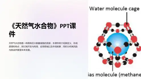 《天然气水合物》课件