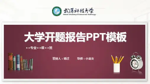 武汉科技大学开题报告PPT模板