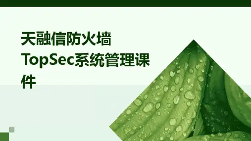 天融信防火墙TOPSEC系统管理课件