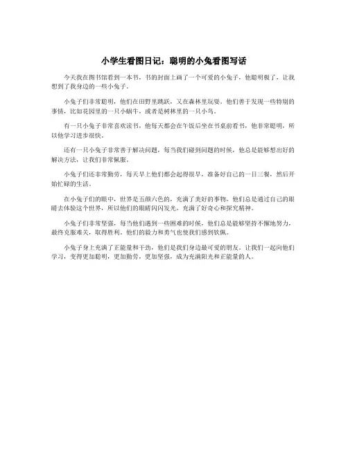 小学生看图日记：聪明的小兔看图写话