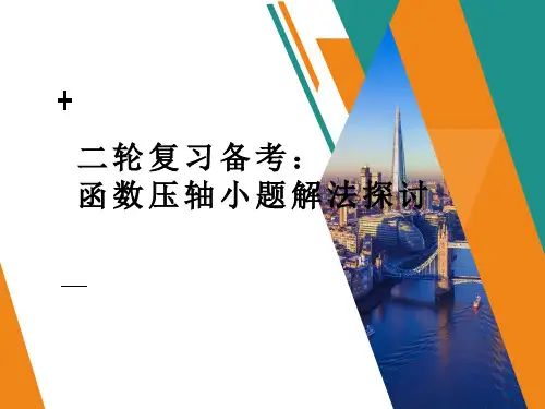 2024届高考数学二轮复习备考：函数压轴小题解法探讨