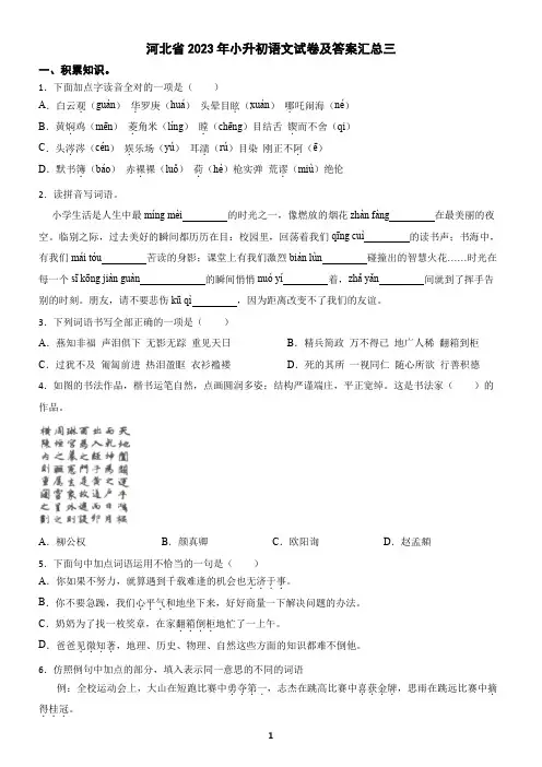 河北省2023年小升初语文试卷及答案汇总三