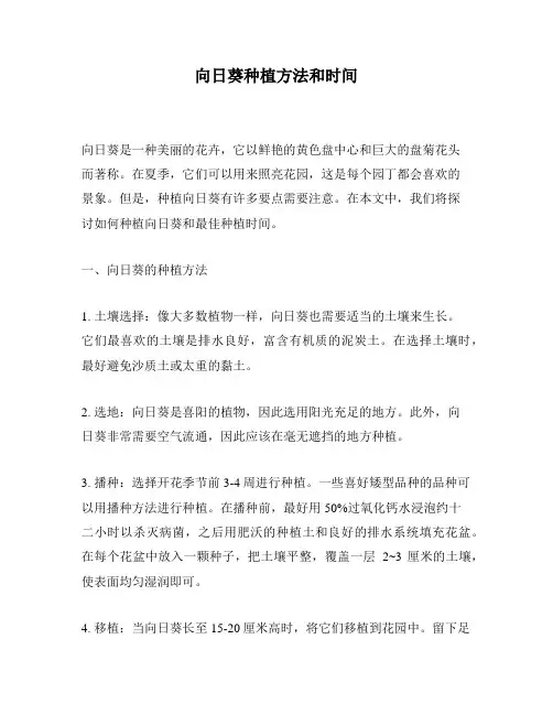 向日葵种植方法和时间