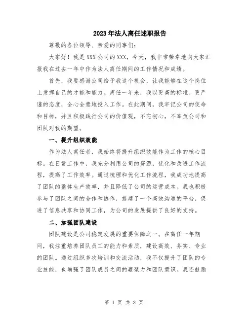 2023年法人离任述职报告