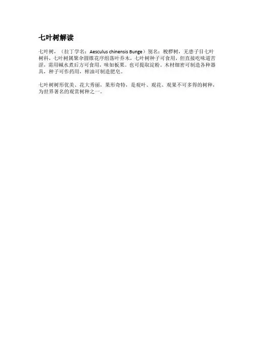 七叶树解读