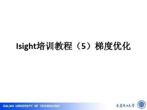 isight-5-梯度优化