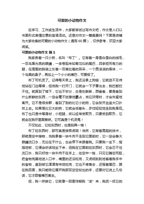 可爱的小动物作文