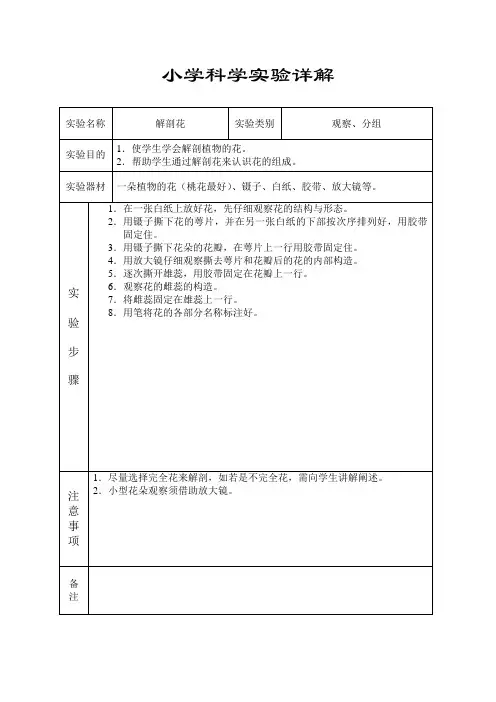 小学科学实验解剖花