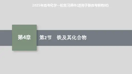 2025年高考化学一轮复习课件(适用于新高考新教材) 第2节 铁及其化合物