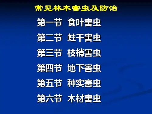害虫食叶课件