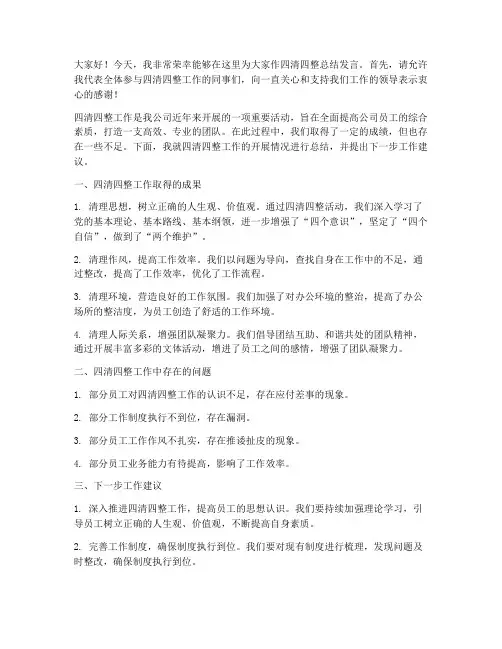 四清四整总结发言稿