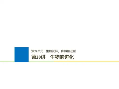 浙江高考生物一轮总复习生物变异育种和进化第讲生物的进化课件