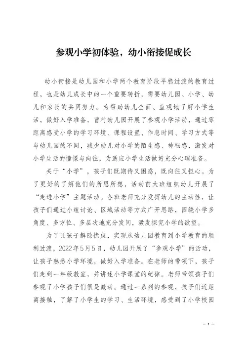幼儿园大班幼小衔接案例及做法