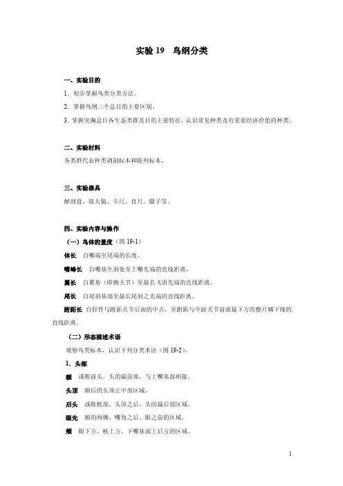 实验19鸟纲分类-广东嘉应学院