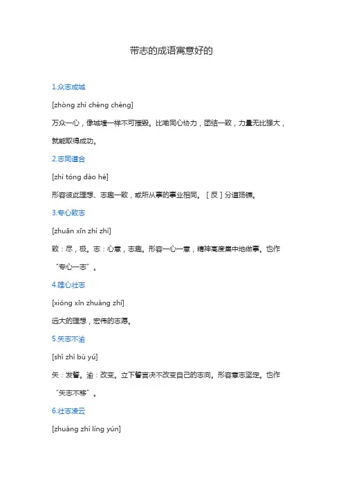 带志的成语寓意好的
