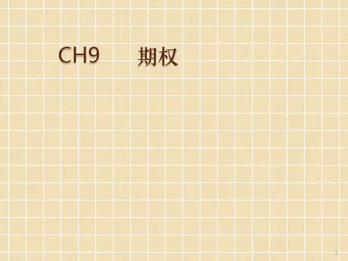 期权概要ppt课件