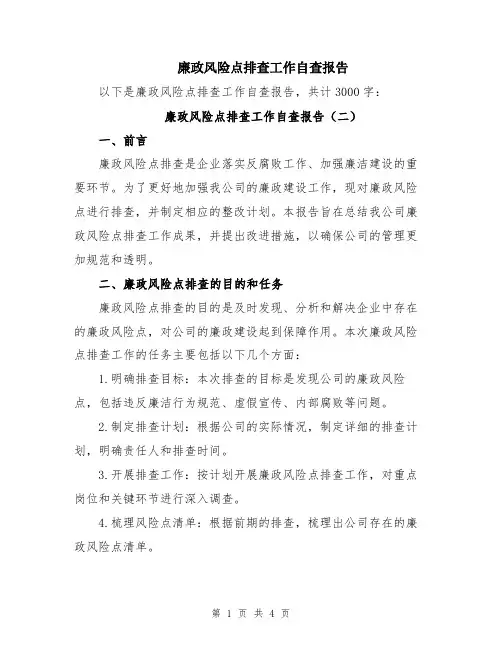 廉政风险点排查工作自查报告