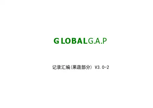 GAP记录汇编