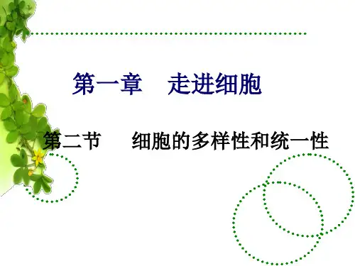 人教版高中生物必修一1.2细胞的多样性和统一性 课件 (共28张PPT)