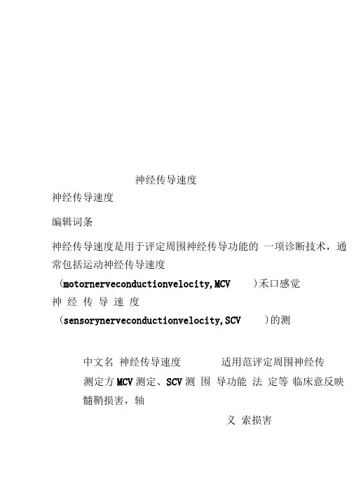 神经传导速度
