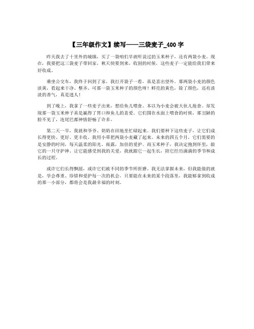 【三年级作文】续写——三袋麦子_400字