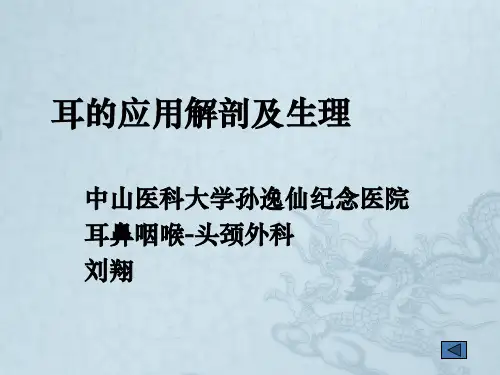 耳的应用解剖与生理ppt课件