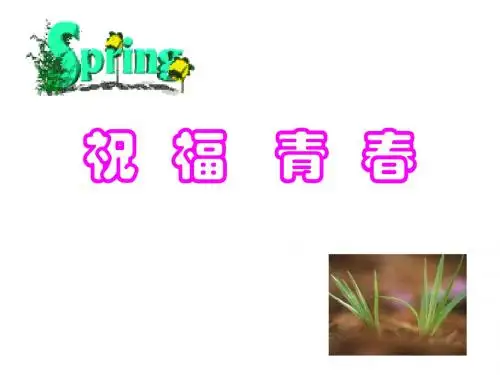 《祝福青春》课件