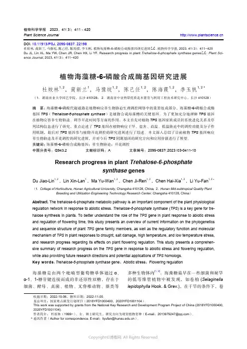 植物海藻糖-6-磷酸合成酶基因研究进展