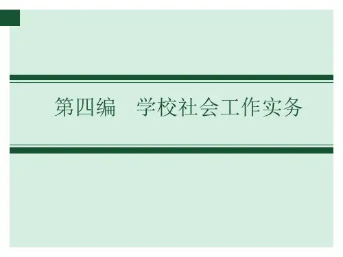 第十二章：心理量表在学校社会工作中的应用 (2)[56页]