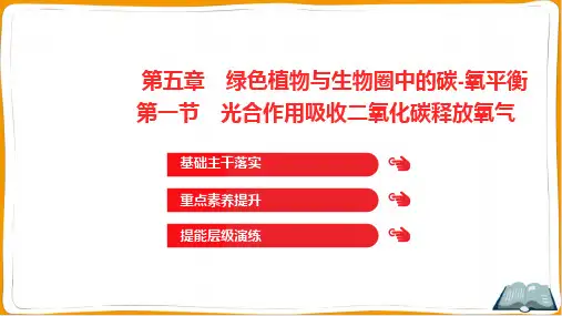人教版七年级上册生物第三单元第五章绿色植物与生物圈中的碳-氧平衡第一节光合作用吸收二氧化碳释放氧气
