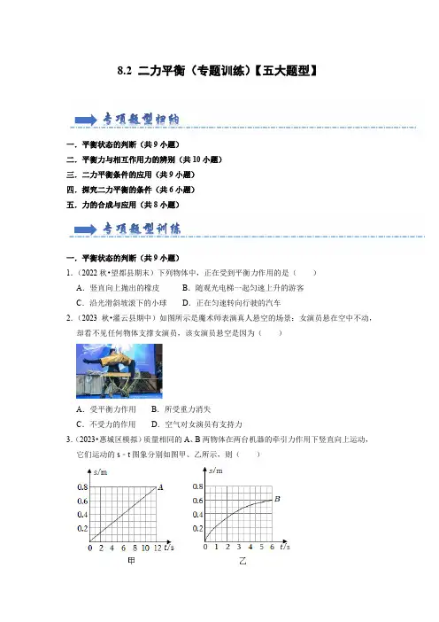 8.2 二力平衡(专题训练)【五大题型】-2023-2024学年八年级下册物理同步知识解读与专题训练