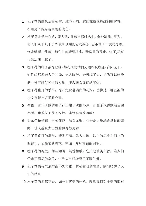 描写栀子花的优美句子 (3)