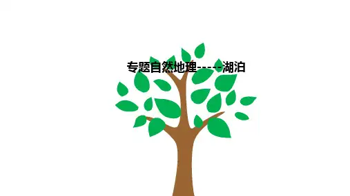 高考二轮复习课件专题自然地理湖泊