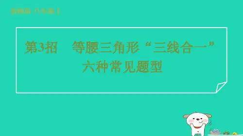 2024八年级数学上册阶段拔尖专训第3招等腰三角形“三线合一”六种常见题型习题课件新版浙教版
