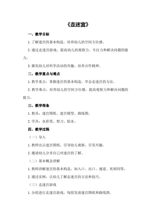中班科学详案教案及教学反思《走迷宫》