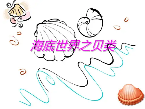 海底世界之贝类