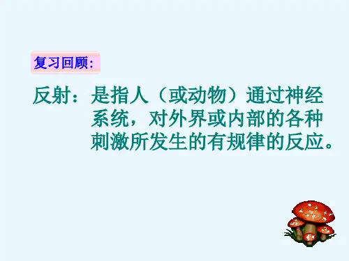 6.3神经调节的基本方式