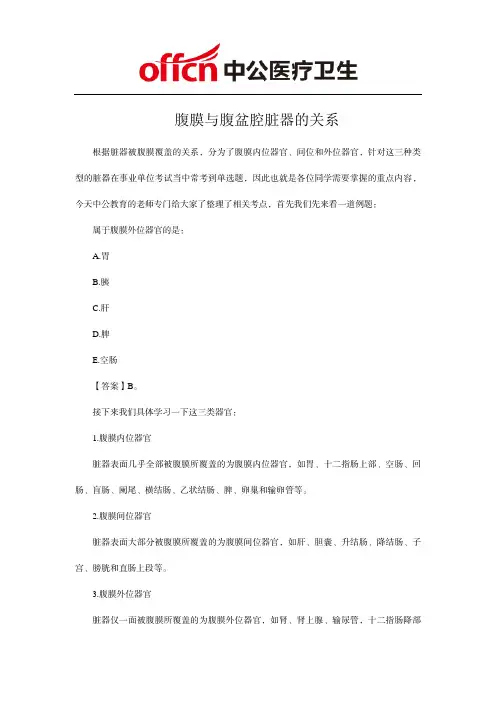 腹膜与腹盆腔脏器的关系