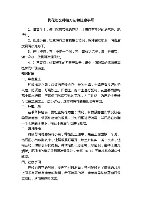 梅花怎么种植方法和注意事项