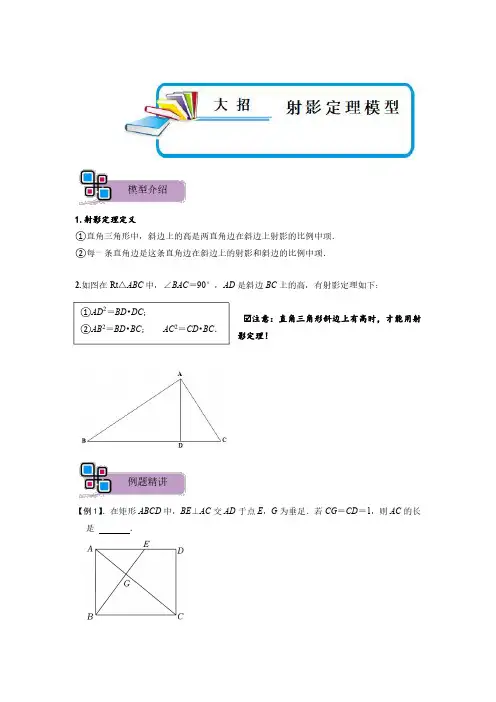 中考数学解题大招复习讲义(全国通用)模型06 射影定理模型(解析版)