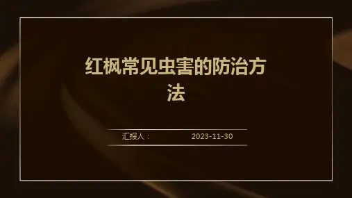 红枫常见虫害的防治方法