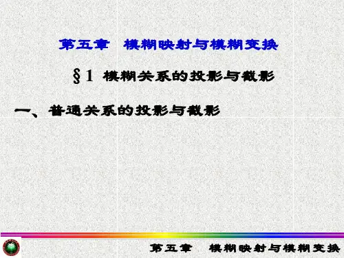 第五章 模糊映射与模糊变换