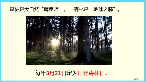 简单应用百分数PPT市公开课一等奖省优质课获奖课件