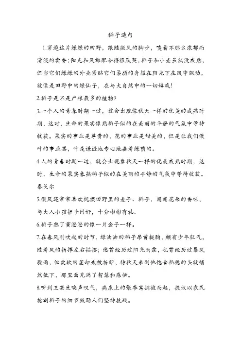 稻子造句 .doc