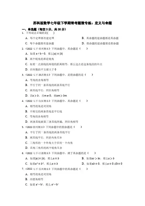 2022-2023学年苏科版数学七年级下学期期末复习微专练  定义与命题(含答案)