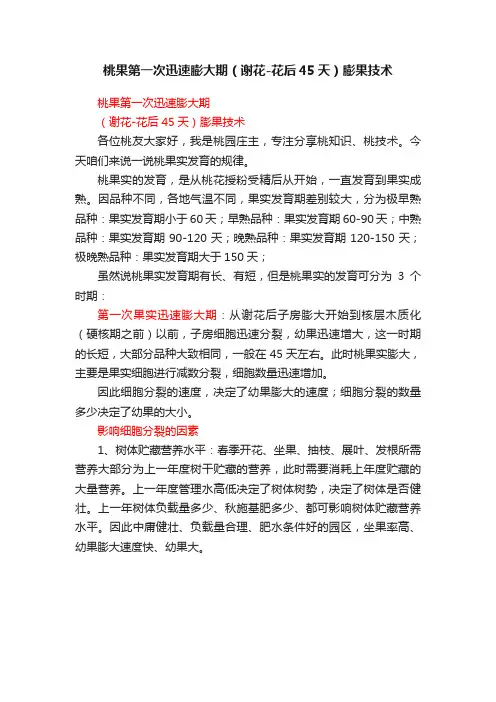桃果第一次迅速膨大期（谢花-花后45天）膨果技术