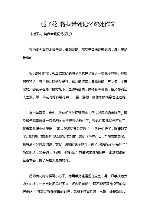 栀子花 将我带到记忆深处作文