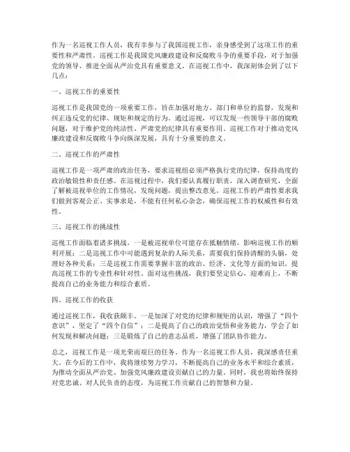 巡视工作感想