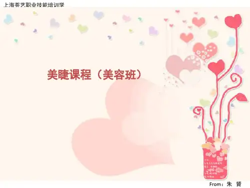 美睫PPT精选文档